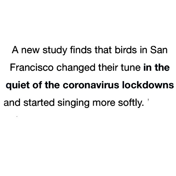 Meet your Posher, Pam - Picture 10 of 16